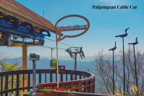 top-10-places-you-must-visit-in-daegu-palgongsan-cable-car.webp