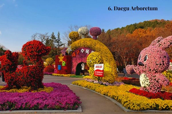 Daegu Arboretum green trails and gardens — a top 10 place you must visit in Daegu