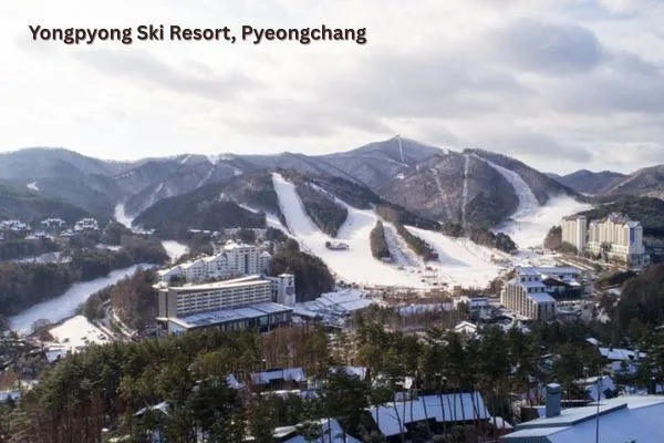 Places to visit in South Korea – Yongpyong Ski Resort in Pyeongchang during winter