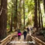 California Tourist Places 2026 – California State Parks with scenic redwood forests
