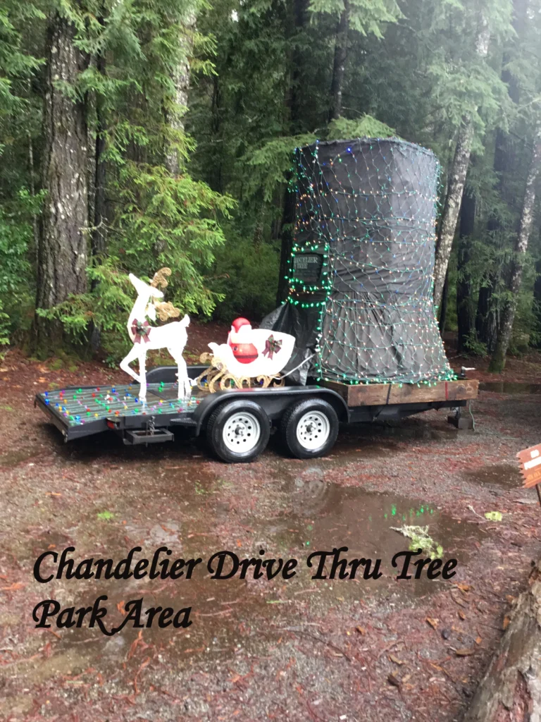 Chandelier Drive Thru Tree Park area with Christmas decoration